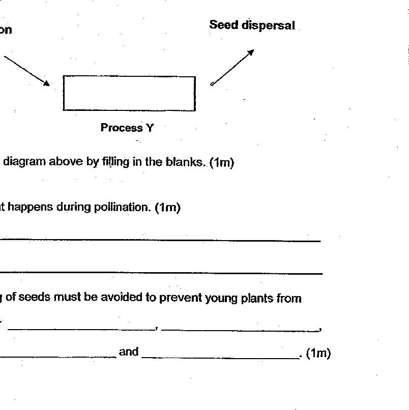 Diagram for question 36b