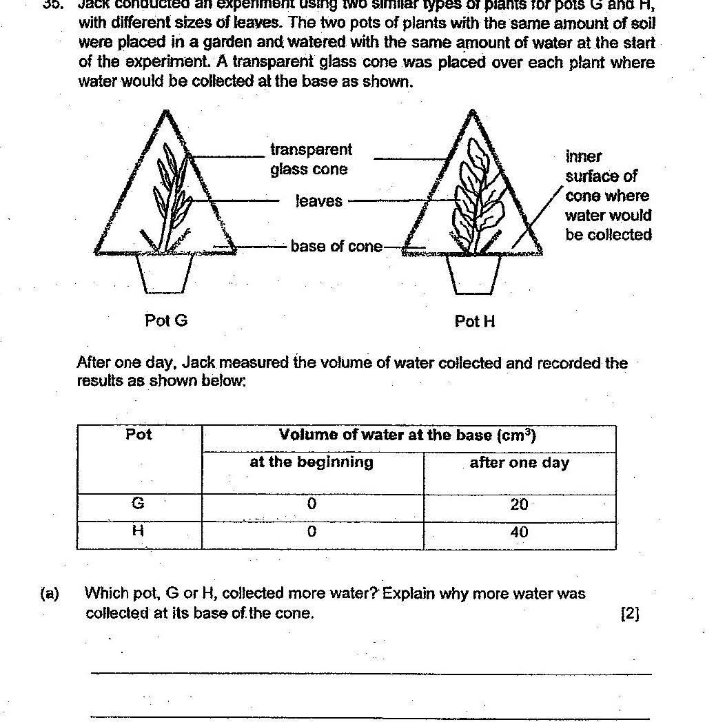 Two identical setups showing potted plants (Pot G and Pot H) with transparent glass cones placed over them. Each cone has an inner surface where water would be collected at the base. The plants have different leaf sizes - Pot G appears to have smaller leaves and Pot H appears to have larger leaves. Both pots contain the same amount of soil and are in a garden setting.
