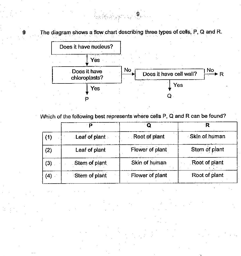 A flow chart with the following structure: Starting box 'Does it have nucleus?' with arrow 'Yes' leading to 'Does it have chloroplasts?' which has two paths: 'Yes' leads to 'P', 'No' leads to 'Does it have cell wall?' which branches into 'Yes' (leading to 'Q') and 'No' (leading to 'R').