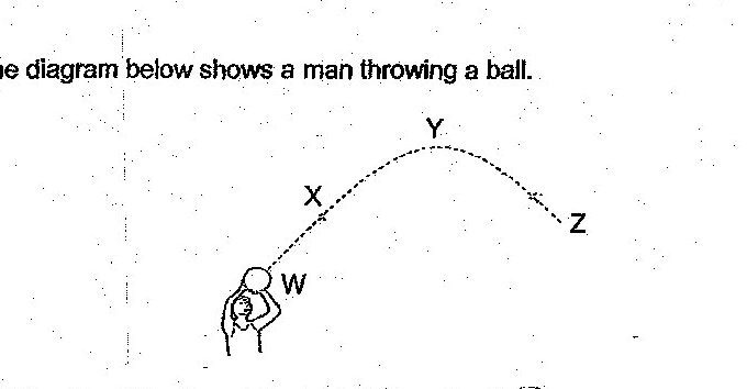 A diagram showing a man at point W throwing a ball. The ball's trajectory is shown as a dotted parabolic path, with point X on the ascending portion, point Y at the apex (highest point), and point Z on the descending portion of the trajectory.