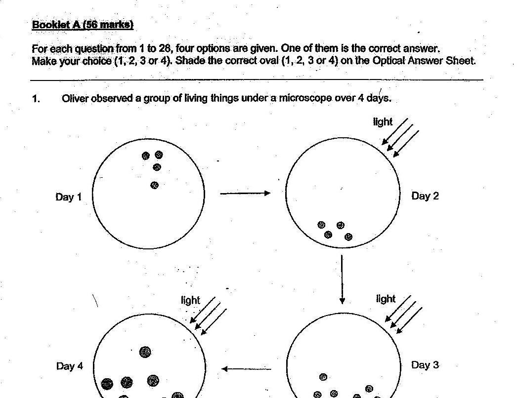 A 4-day observation diagram showing circular microscope views. Day 1 shows 4 small dots (organisms). Day 2 shows 4 dots arranged differently, with light arrows pointing to the circle. Day 3 shows approximately 10 dots, with light arrows pointing to the circle. Day 4 shows approximately 9 dots including one larger/darker dot, with light arrows pointing to the circle. Arrows connect Day 1→Day 2→Day 3→Day 4 in sequence.