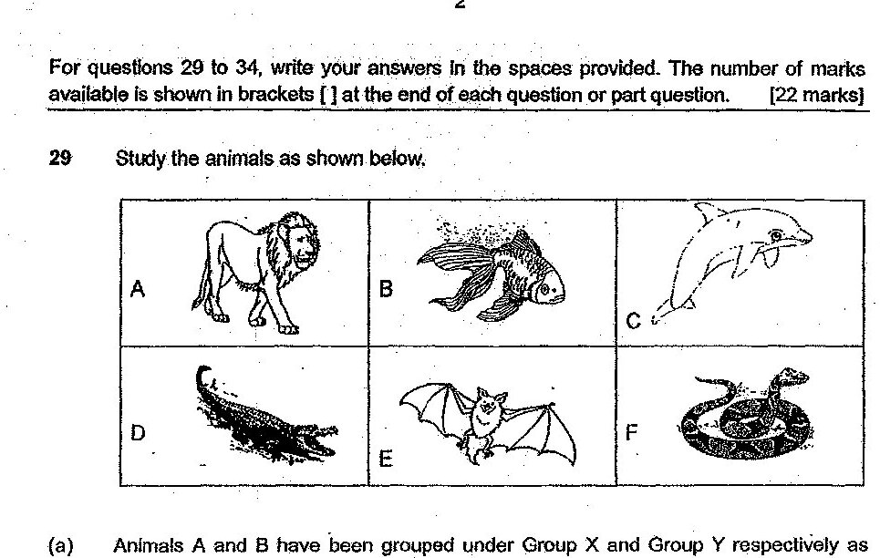 Six animals labeled A through F: A - Lion, B - Fish with bird-like features, C - Dolphin, D - Salamander/newt, E - Bat, F - Snake