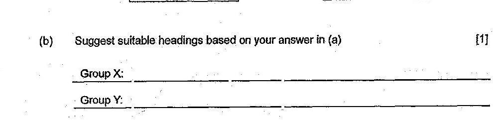 Two blank lines provided - one for 'Group X:' and one for 'Group Y:'