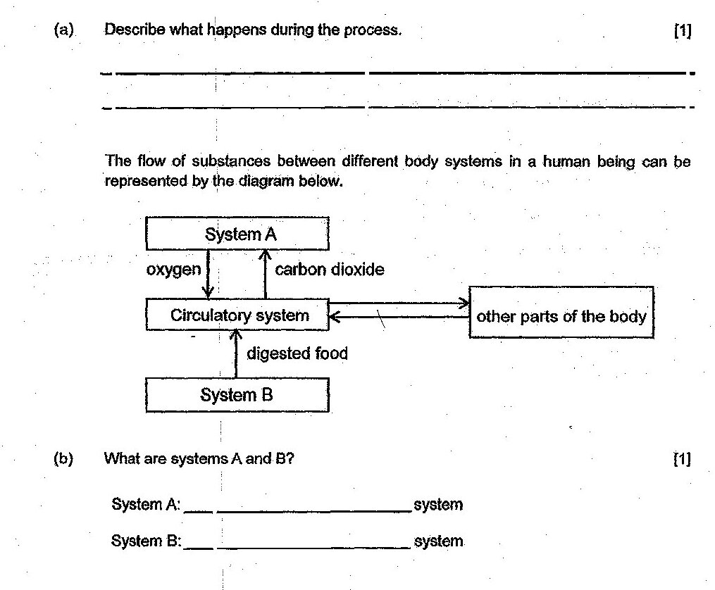 A flow diagram showing the flow of substances between different body systems. System A is at the top with oxygen entering (downward arrow) and carbon dioxide leaving (upward arrow) to/from the Circulatory system. The Circulatory system exchanges substances with 'other parts of the body' (bidirectional arrows). Digested food enters the Circulatory system from System B (upward arrow). System B is shown at the bottom below the Circulatory system.