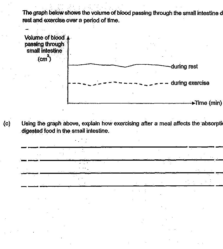 A graph showing volume of blood passing through small intestine (cm³) on the y-axis versus Time (min) on the x-axis. Two lines are shown: a solid line labeled 'during rest' which remains relatively constant at a higher level, and a dashed line labeled 'during exercise' which remains relatively constant at a lower level throughout the time period.