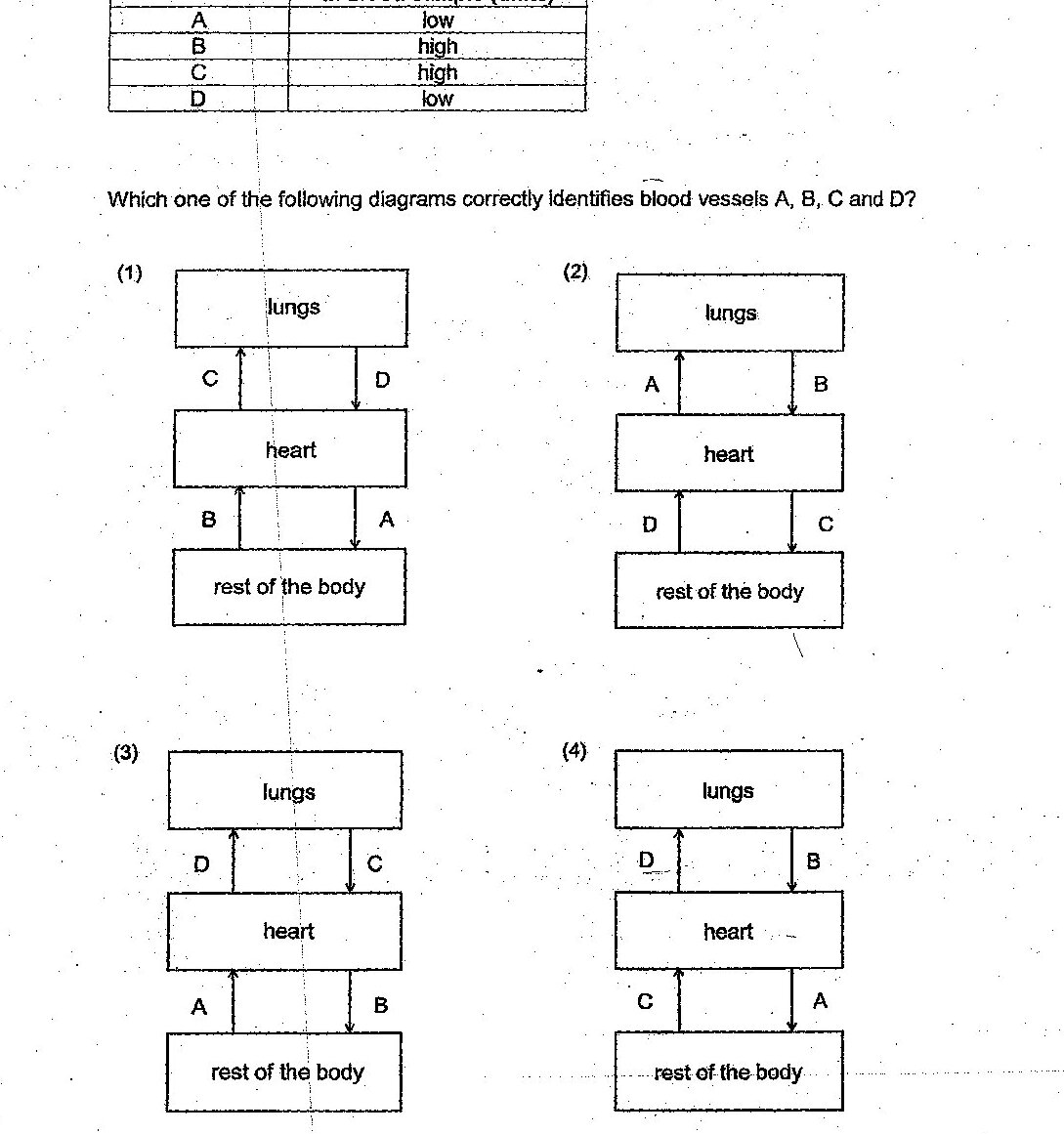 A table showing blood vessels A, B, C, D with their carbon dioxide amounts: A=low, B=high, C=high, D=low. Four diagrams (1-4) showing circulatory system flow paths between lungs, heart, and rest of body, with different labelings of vessels A, B, C, D. Diagram 1: lungs→(C,D)→heart→(B,A)→rest of body. Diagram 2: lungs→(A,B)→heart→(D,C)→rest of body. Diagram 3: lungs→(D,C)→heart→(A,B)→rest of body. Diagram 4: lungs→(D,B)→heart→(C,A)→rest of body.