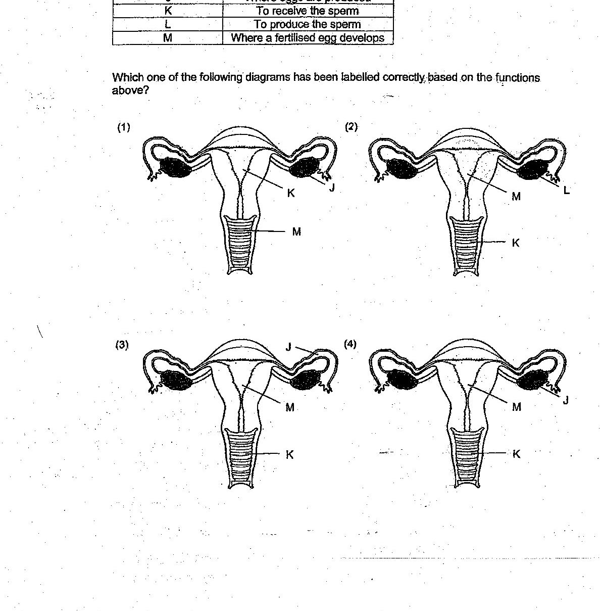 A table showing reproductive parts (J, K, L, M) and their functions: J - Where eggs are produced, K - To receive the sperm, L - To produce the sperm, M - Where a fertilised egg develops. Four diagrams of female reproductive system are shown, each with different labeling of the reproductive parts (ovaries on sides, fallopian tubes, uterus in center, and cervix at bottom). Diagram (1) labels the ovary as K and uterus as M. Diagram (2) labels the fallopian tube as M, ovary as L, and cervix as K. Diagram (3) labels the ovary as J, uterus as M, and cervix as K. Diagram (4) labels the fallopian tube as J, uterus as M, and cervix as K.