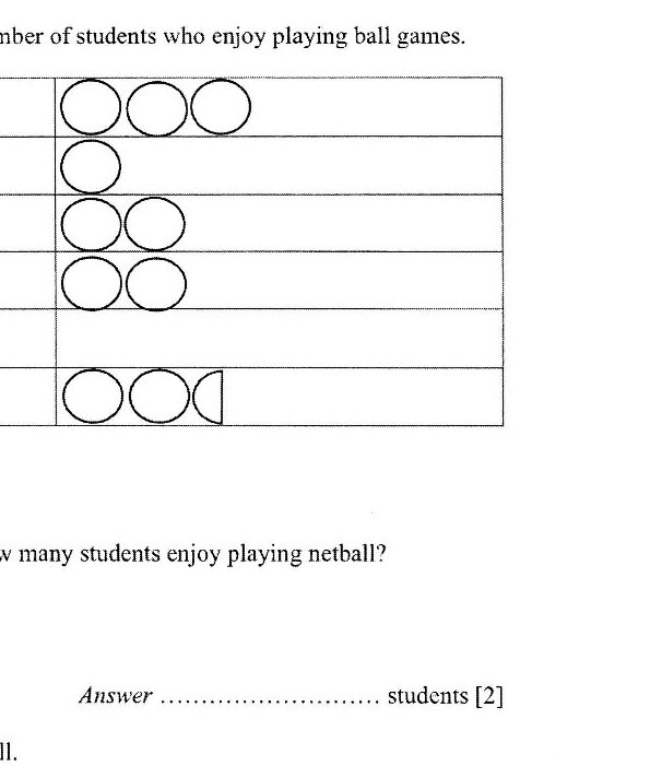 Pictogram (as described above) with blank space for netball row to be completed.
