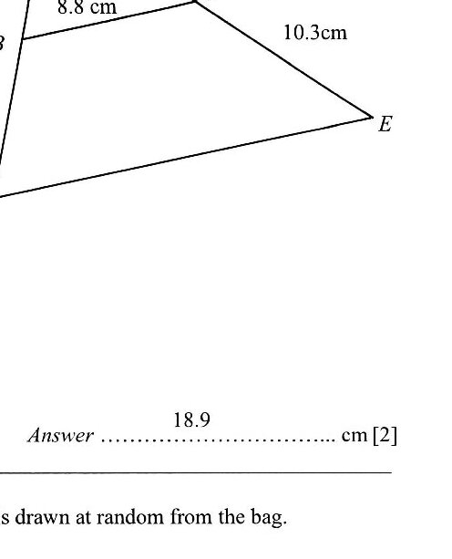 A diagram showing two similar triangles. Triangle ABC is nested within triangle ADE. Point A is at the top, with AC = 9 cm marked along the right side to point C. From C, a line extends 10.3 cm to point E. BC = 8.8 cm is marked as the base of the smaller triangle ABC. Points B and D are on the left, with D below B. Triangle ADE is the larger triangle with vertices A (top), D (bottom left), and E (bottom right).