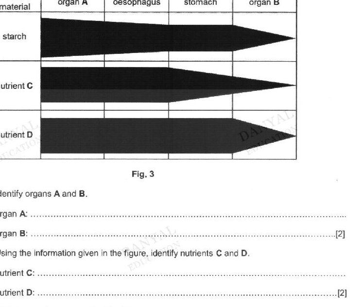 Diagram for question B3(b)