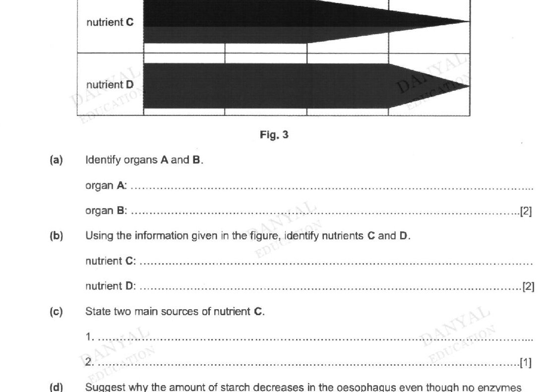 Fig. 3 shows a diagram with the presence of large, complex nutrients in a food sample as the food passes along the alimentary canal. The width of the dark strip shows the amount of large complex nutrients present in the respective organs. The diagram shows food material (starch, nutrient C, nutrient D) passing through organ A, oesophagus, stomach, and organ B. Three horizontal bars represent the amount of each nutrient in each organ.
