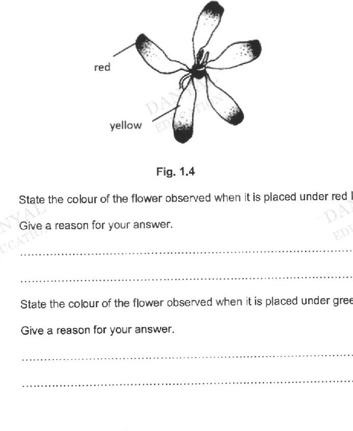 Diagram for question (c)(ii)