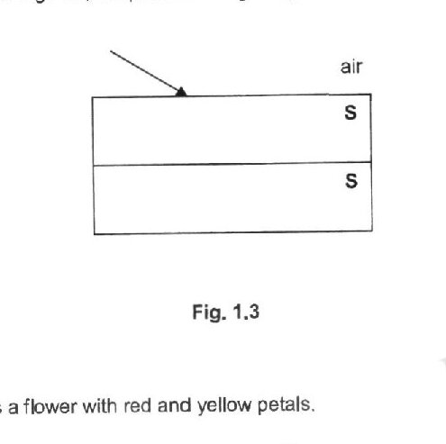 Fig. 1.3 shows two rectangular blocks labeled 'S' stacked vertically on top of each other. A light ray is shown entering from the top left, heading toward the top block, with 'air' labeled above the blocks.