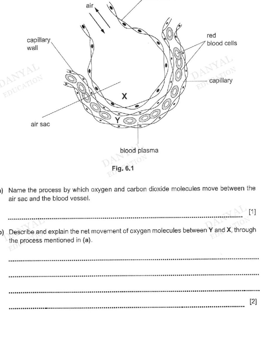Diagram for question 6