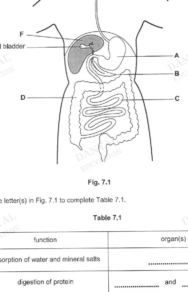 Diagram for question 7