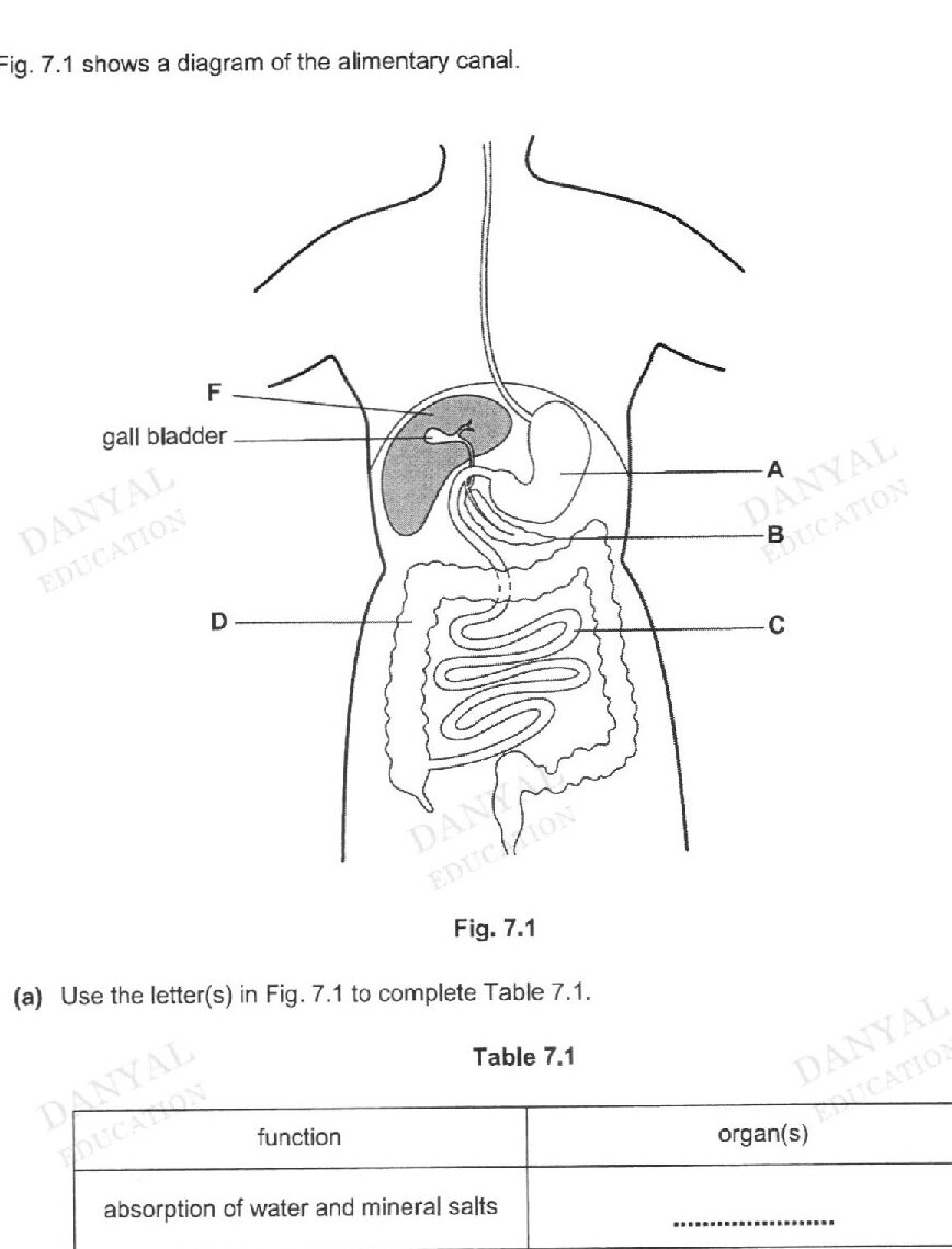 Reference to Fig. 7.1 (not shown on this page)