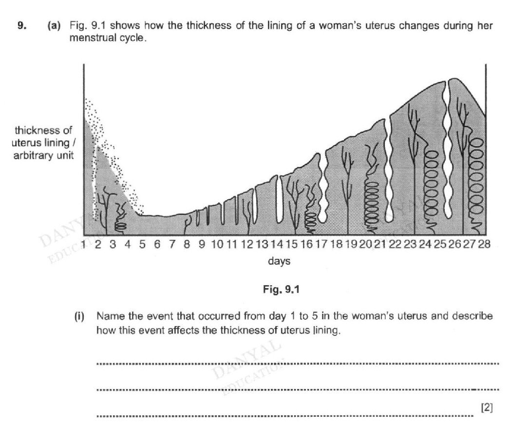 Figure 9.1 shows a graph of thickness of uterus lining (arbitrary unit) plotted against days of the menstrual cycle (1-28 days). The graph shows a thick lining at day 1-2 with blood vessels visible, which gradually decreases to a minimum thickness around day 5-9, then gradually increases from day 10 onwards, with the lining becoming progressively thicker and more vascularized (shown by increasing coiled blood vessel structures) from day 14-28, reaching maximum thickness around day 28.