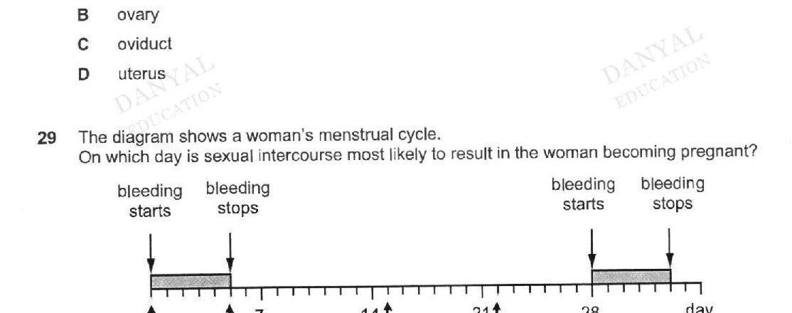 A timeline diagram of a woman's menstrual cycle spanning 28+ days. It shows: bleeding starts at day 0, bleeding stops around day 5, day 7, day 14 (marked as C), day 21 (marked as D), day 28, and the cycle repeats with another bleeding period starting around day 28. Points A and B mark the start and stop of bleeding respectively.