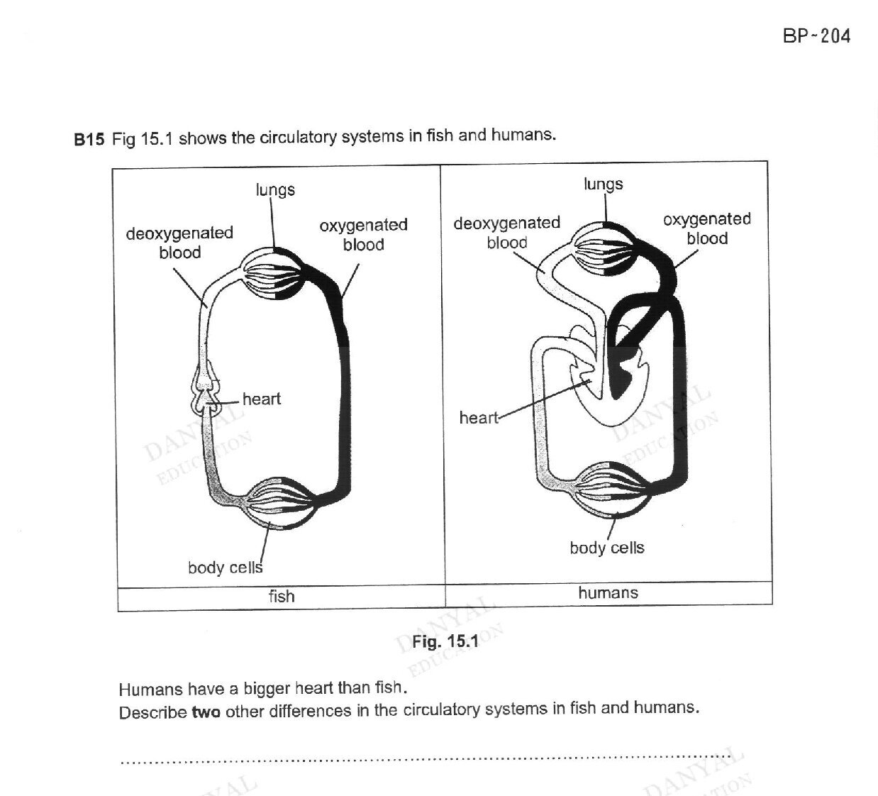 Diagram for question (d)(ii)