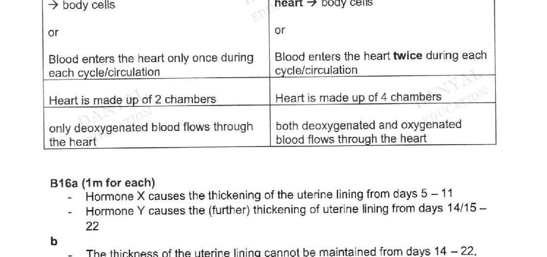 Figure 15.1 shows two circulatory system diagrams side by side. Left diagram (fish): Shows a simple single-loop circulatory system with heart at the bottom, deoxygenated blood flowing from body cells to lungs (shown as gill structures), oxygenated blood returning from lungs to heart. Right diagram (humans): Shows a double-loop circulatory system with heart in the center, deoxygenated blood from body cells going to lungs at the top, oxygenated blood returning from lungs to heart, and separate circulation to body cells. Both diagrams use thick black lines for oxygenated blood and thin lines for deoxygenated blood.