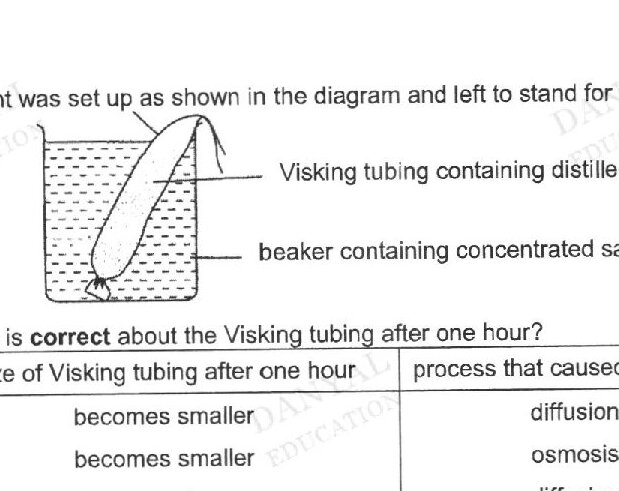 Visking tubing containing distilled water suspended in a beaker containing concentrated salt solution. The Visking tubing is shown as a cylindrical sac inside the beaker.