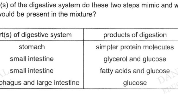 A table with 4 rows and 2 columns. Column headers: 'part(s) of digestive system' and 'products of digestion'. Row A: stomach | simpler protein molecules. Row B: small intestine | glycerol and glucose. Row C: small intestine | fatty acids and glucose. Row D: oesophagus and large intestine | glucose.